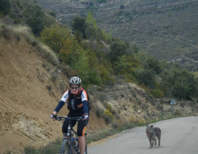 Subiendo hasta el puerto